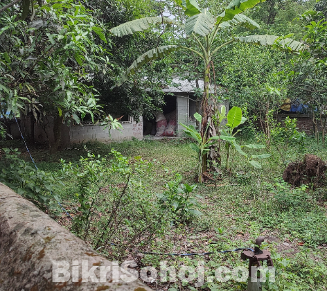 Land for sale